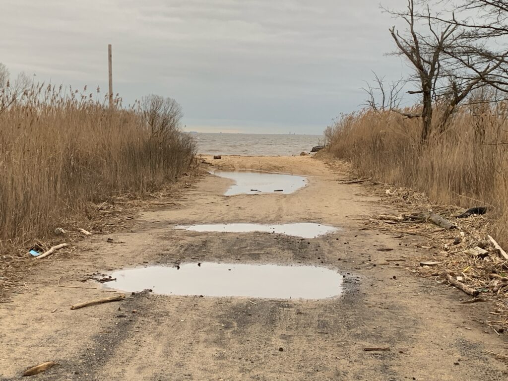 a muddy area with puddles (MyCoast AI)