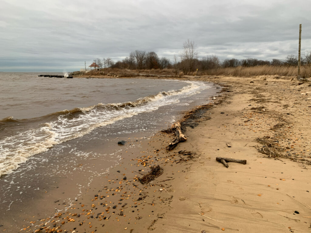 a muddy beach with a puddle (MyCoast AI)