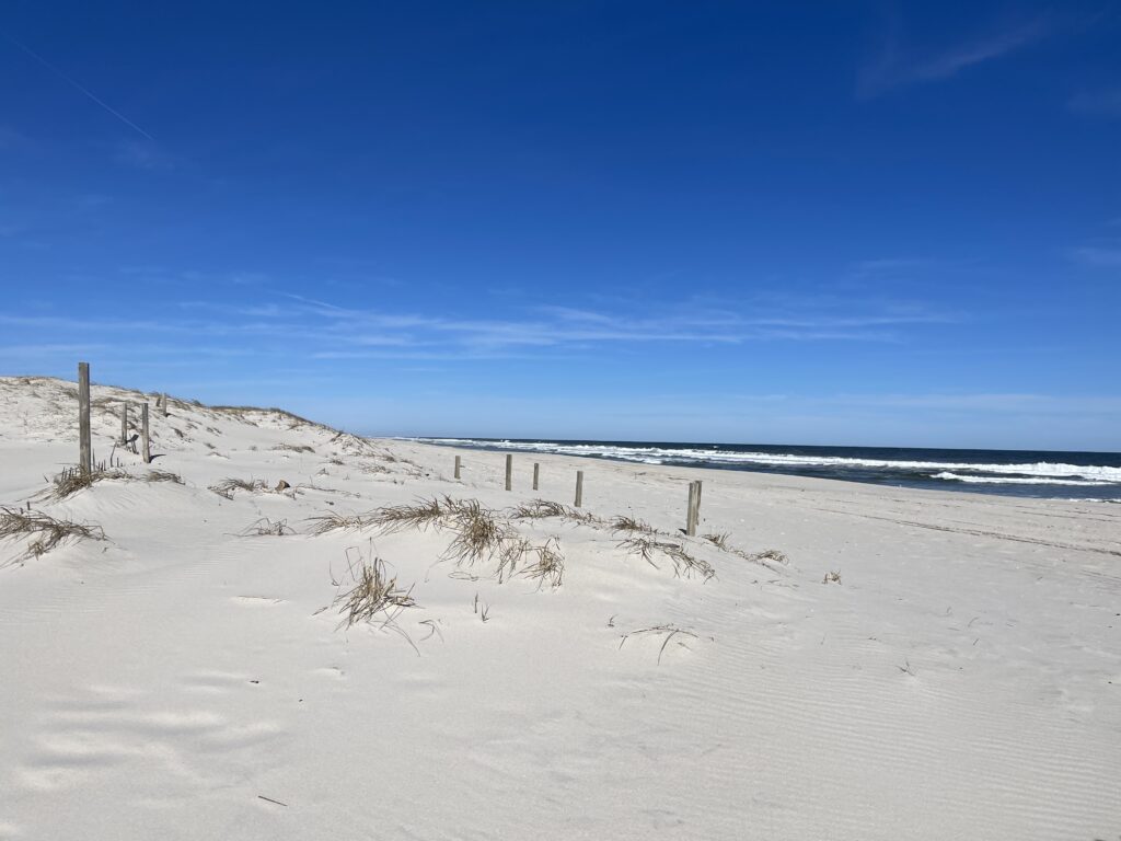 a sandy beach with a fence and water in the background (MyCoast AI)