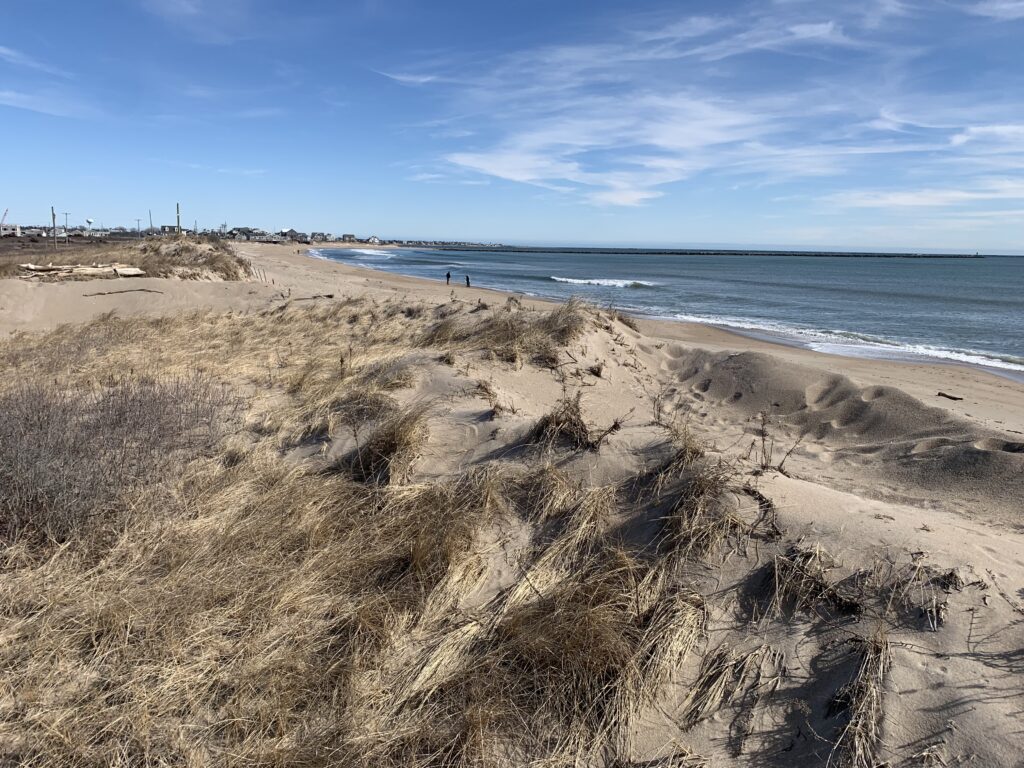 a sandy beach with water and blue sky (MyCoast AI)