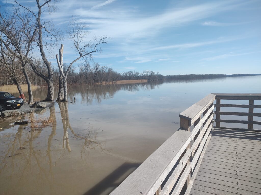 a wooden bridge over a body of water (MyCoast AI)