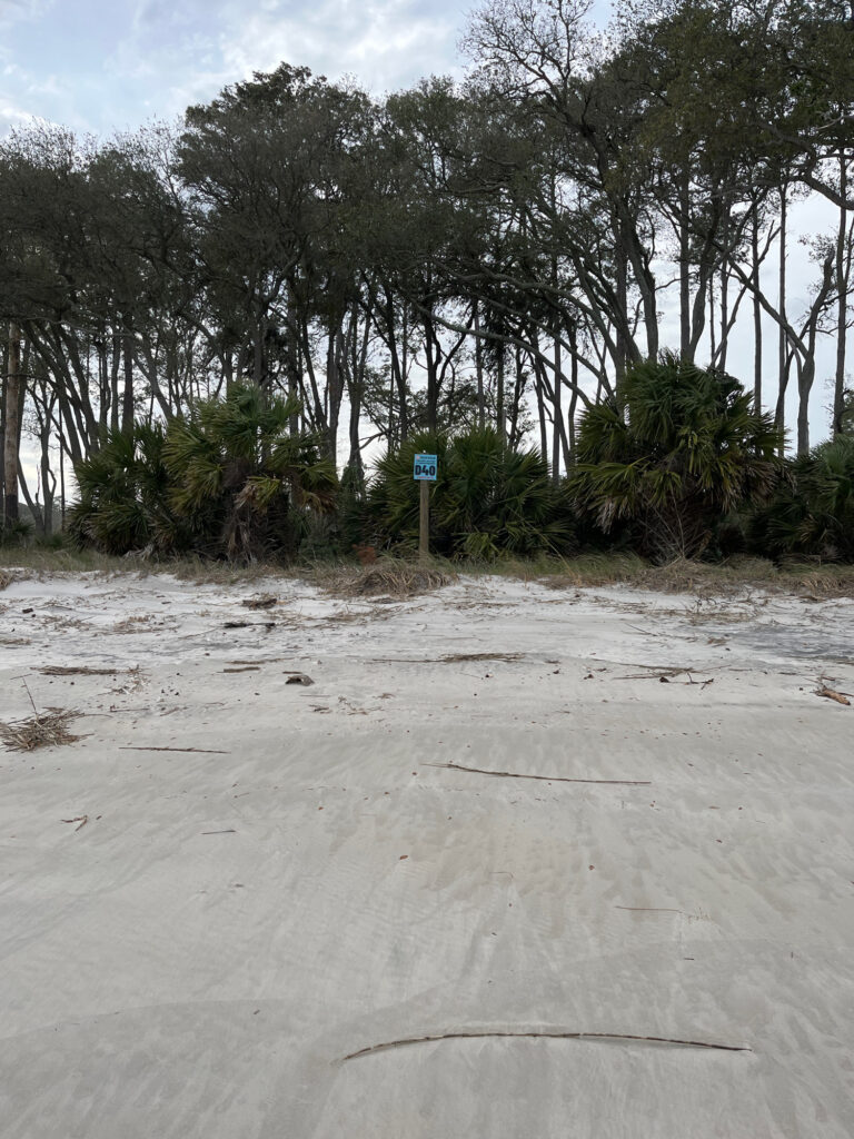 a road with trees on the side (MyCoast AI)