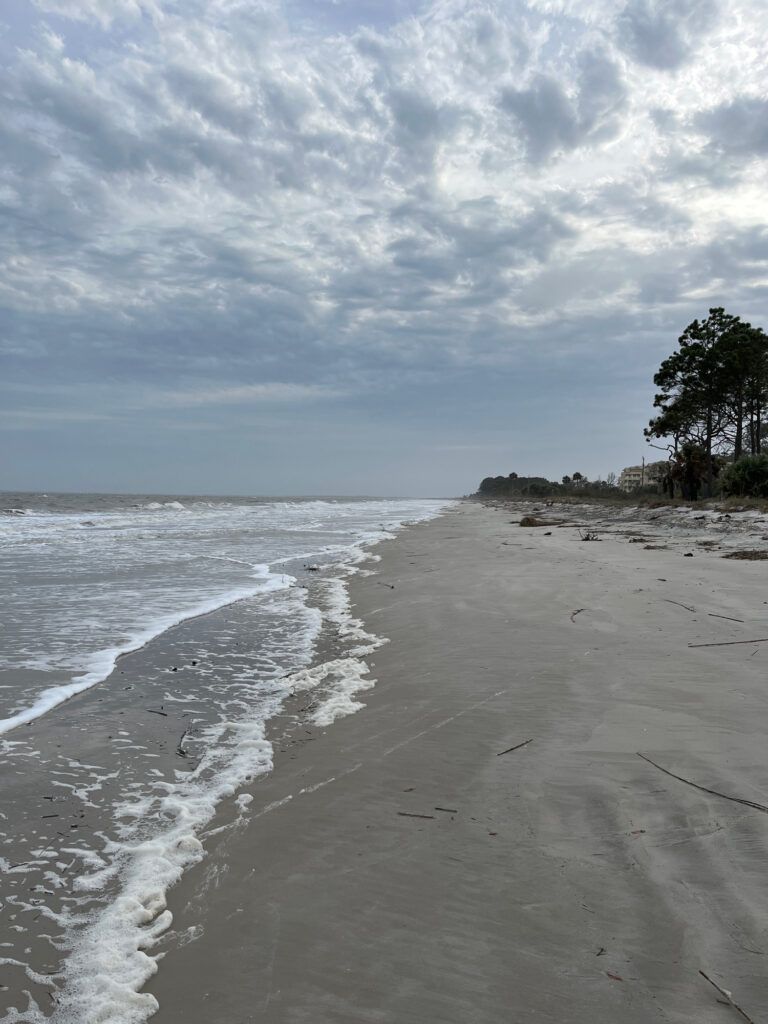 a beach with waves crashing on it (MyCoast AI)