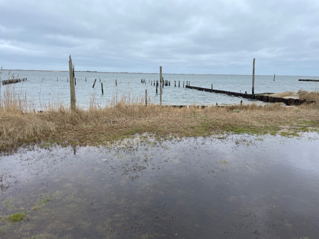 a body of water with grass and a dock in the distance (MyCoast AI)