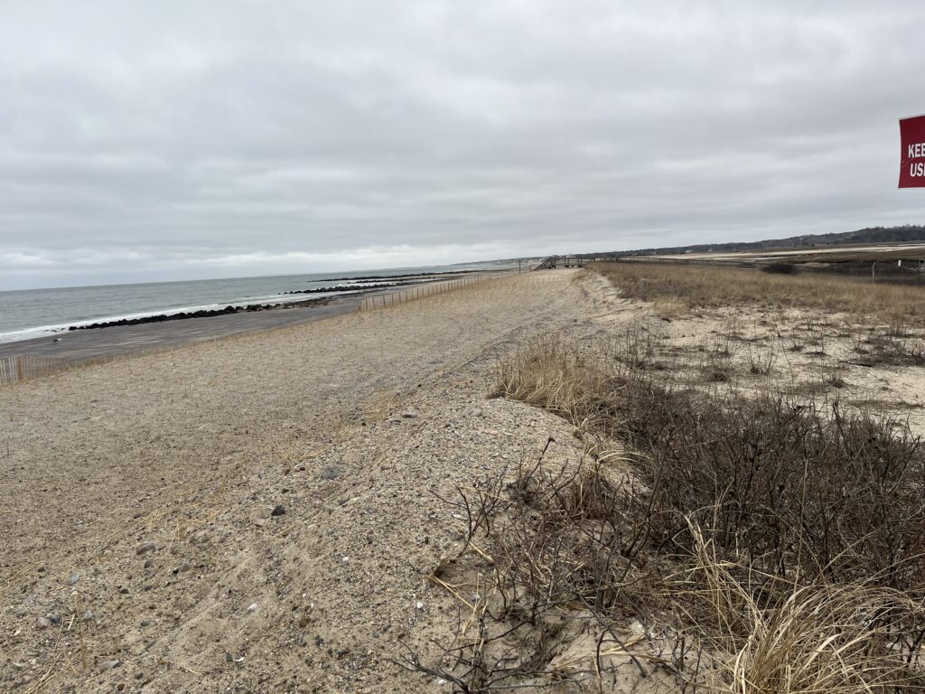 a sandy beach with bushes and water (MyCoast AI)