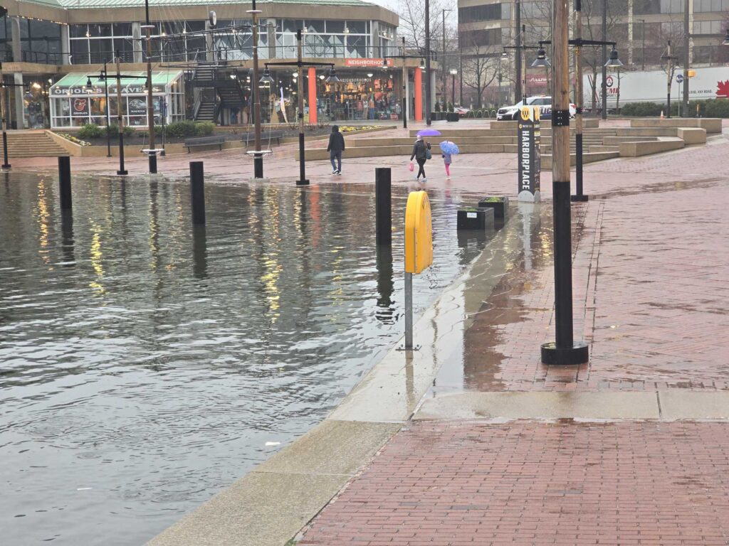 a flooded street with people walking (MyCoast AI)