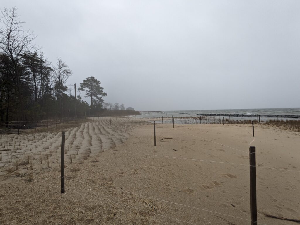 a sandy beach with a fence and trees (MyCoast AI)