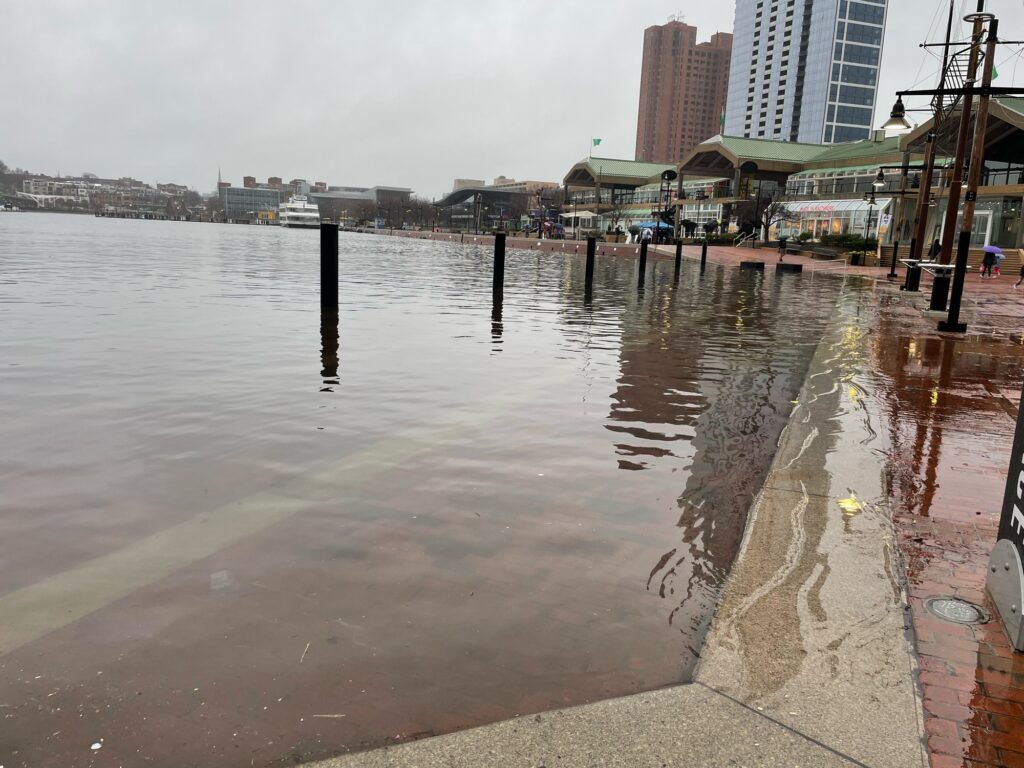 a body of water with buildings in the background (MyCoast AI)