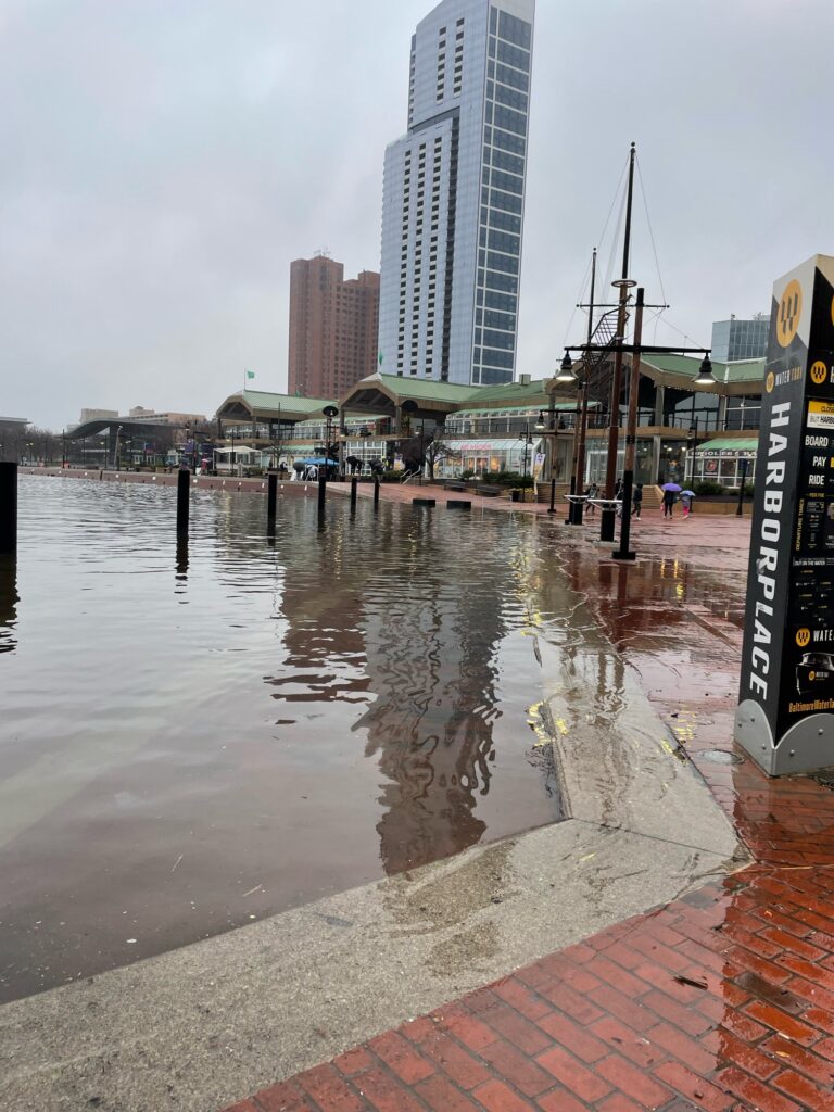 a body of water with buildings in the background (MyCoast AI)