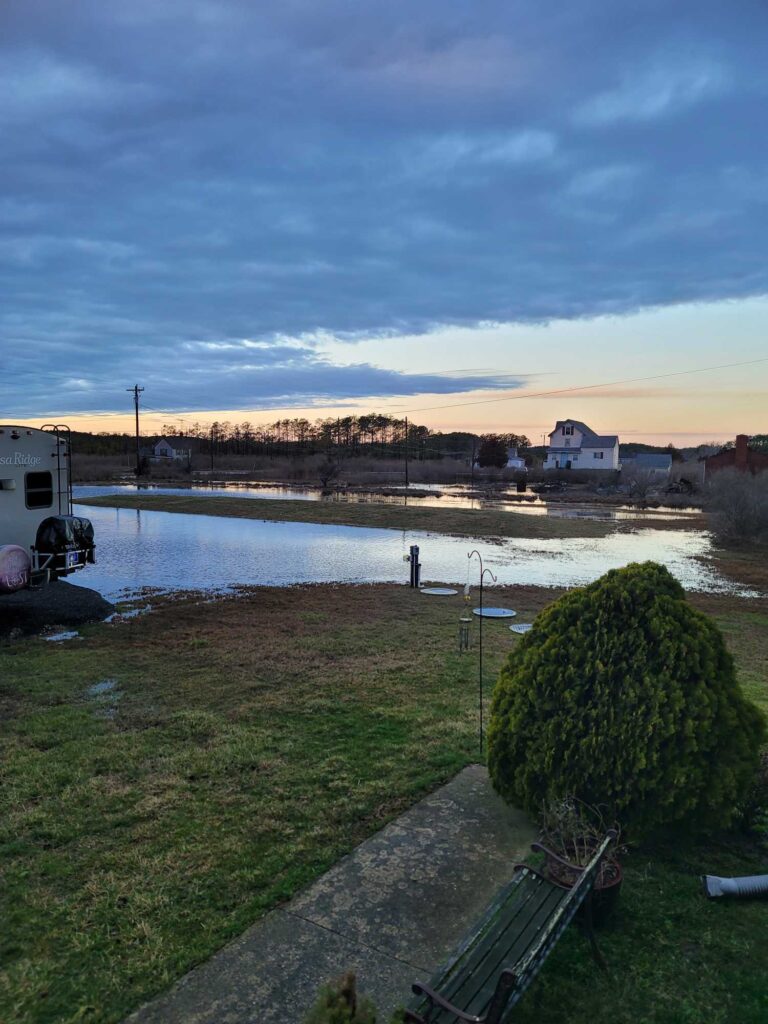 a body of water with a bridge and buildings in the background (MyCoast AI)