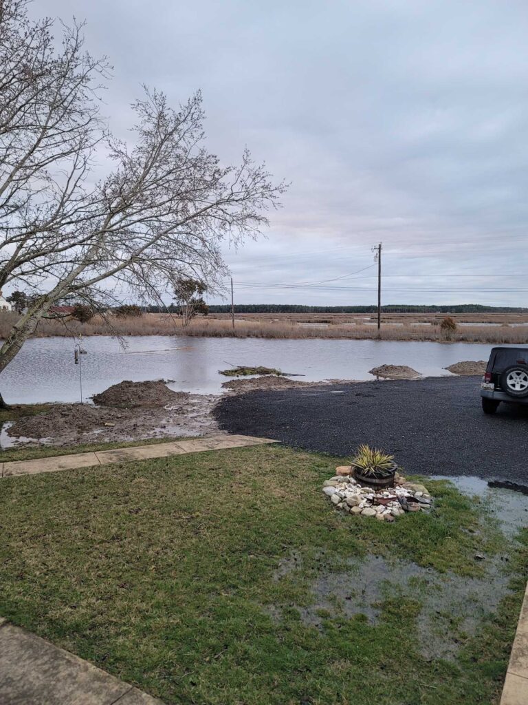 a flooded road with a tree (MyCoast AI)