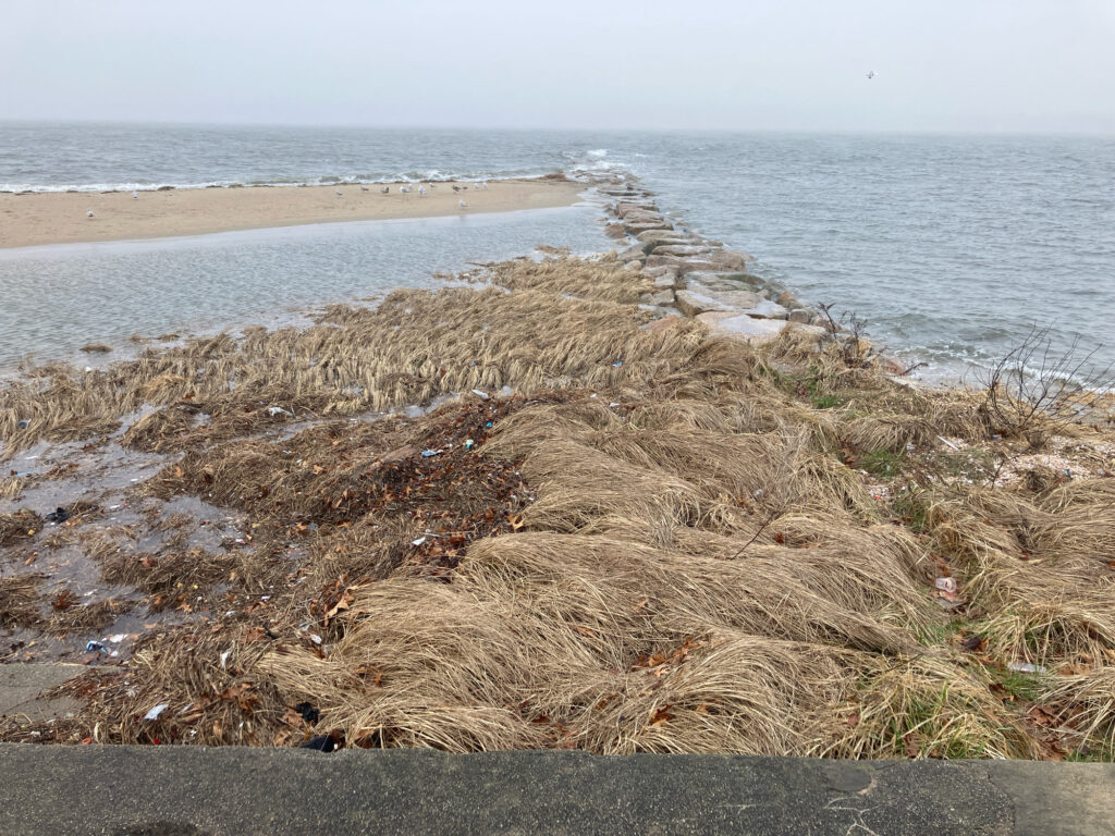 a beach with a lot of debris (MyCoast AI)