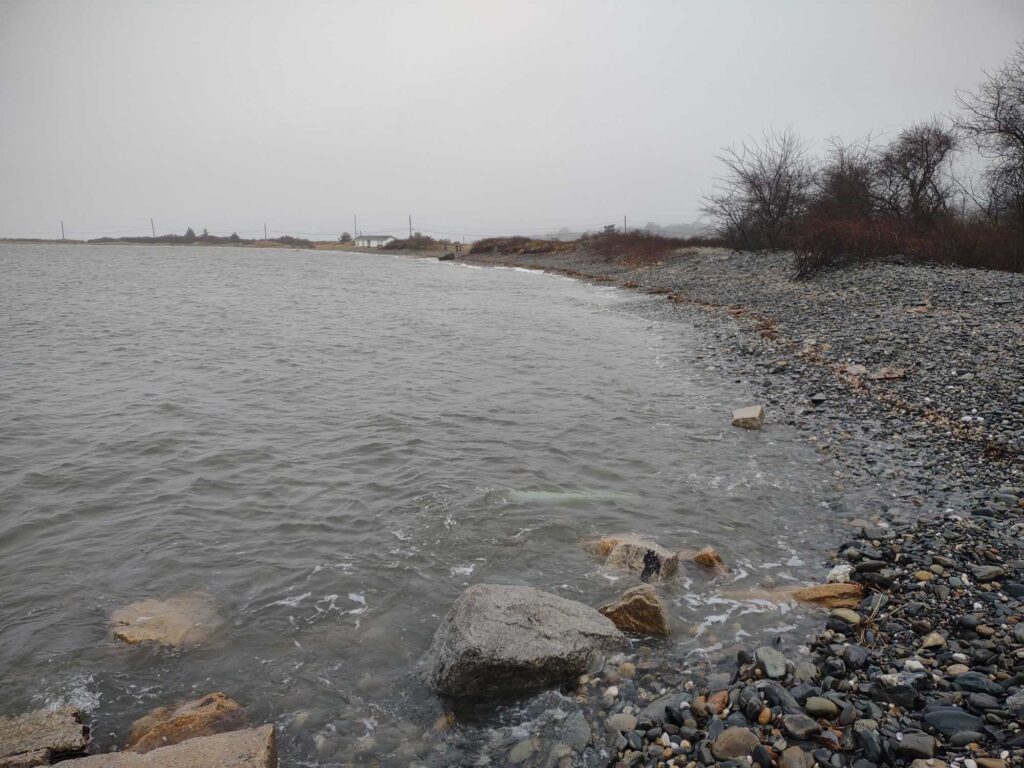 a river with rocks and trees (MyCoast AI)