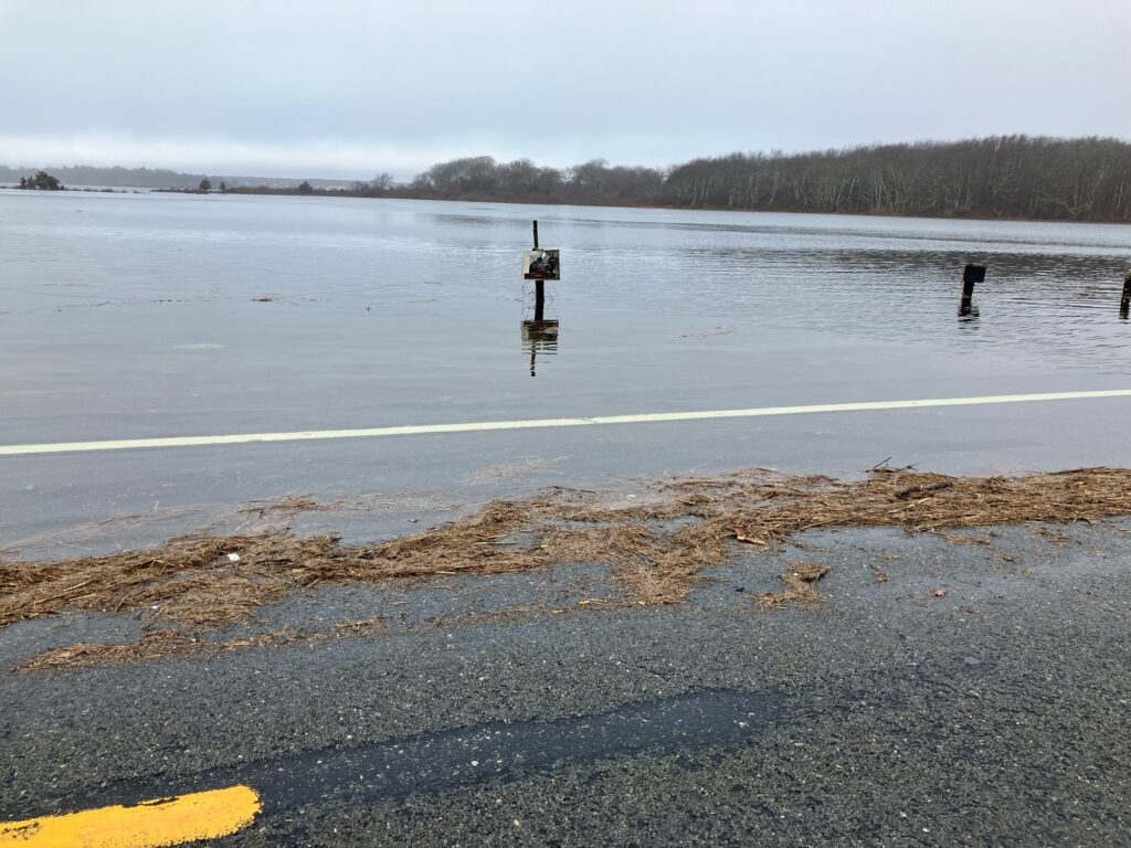 a body of water with a dock and a group of people on it (MyCoast AI)
