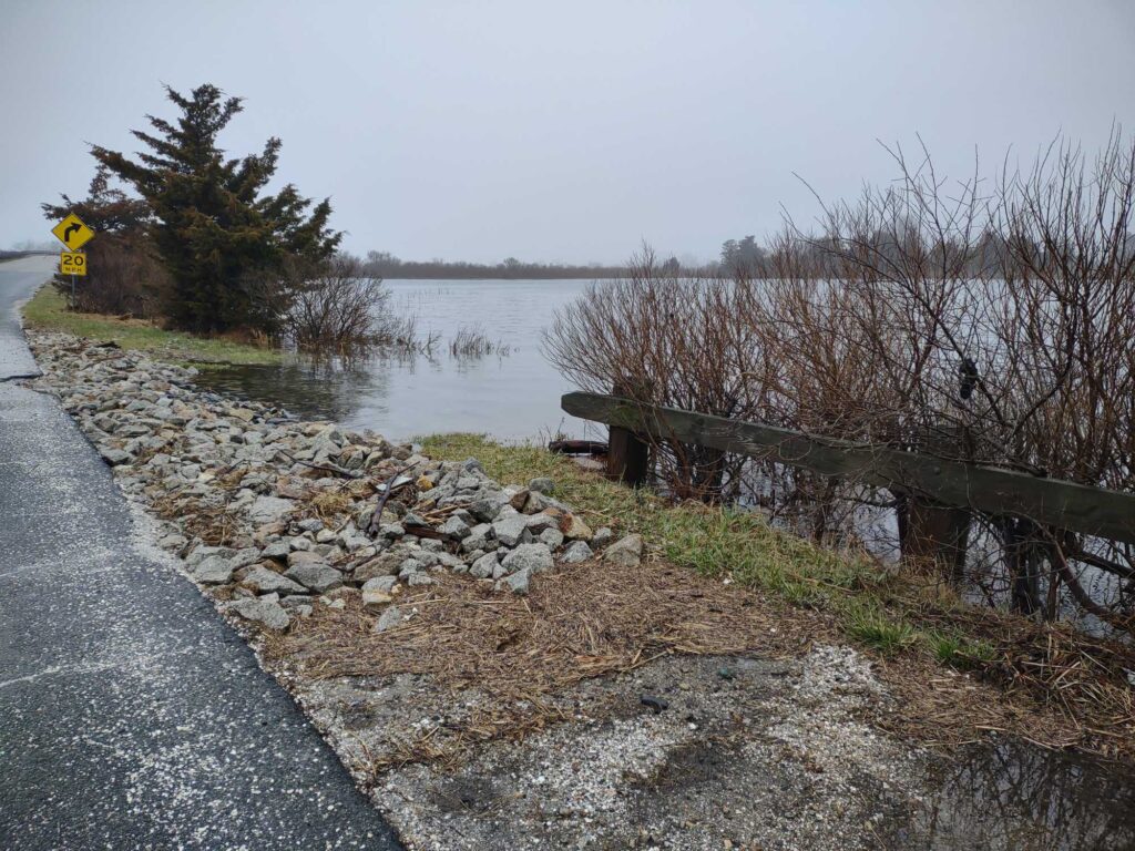 a rocky shore with a body of water in the background (MyCoast AI)