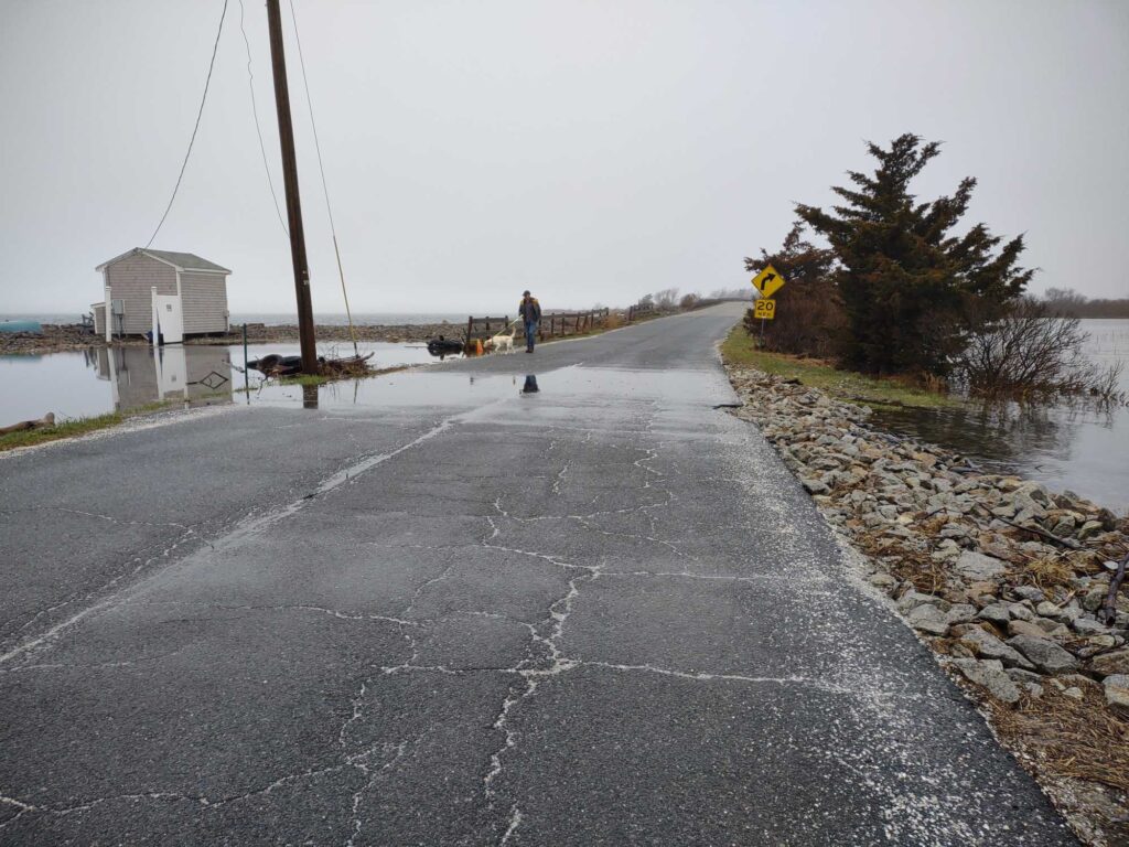 a road with a person standing on it and a body of water in the background (MyCoast AI)