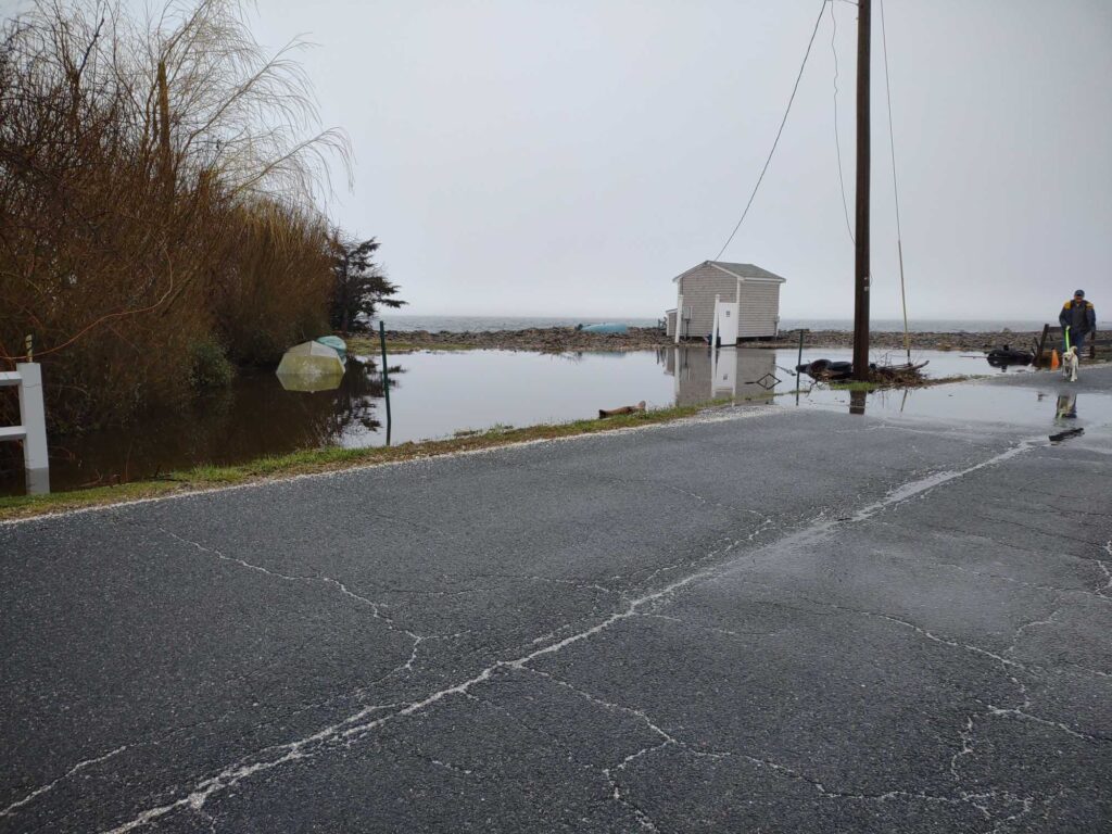 a road with a body of water and a building in the distance (MyCoast AI)