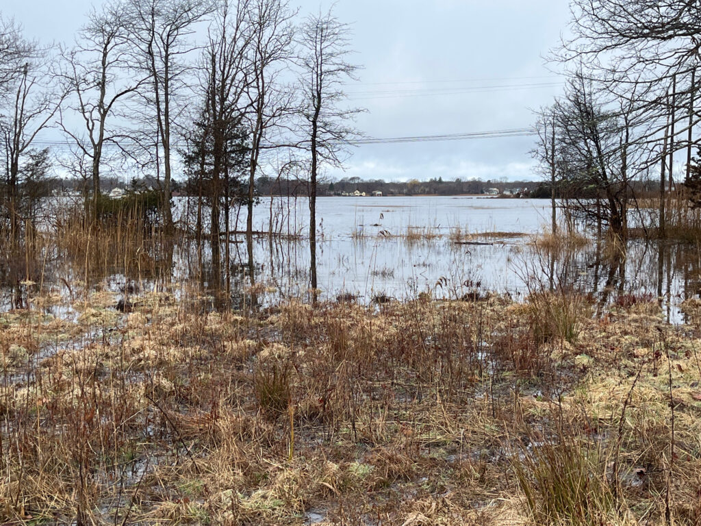 a lake surrounded by dry grass and trees (MyCoast AI)
