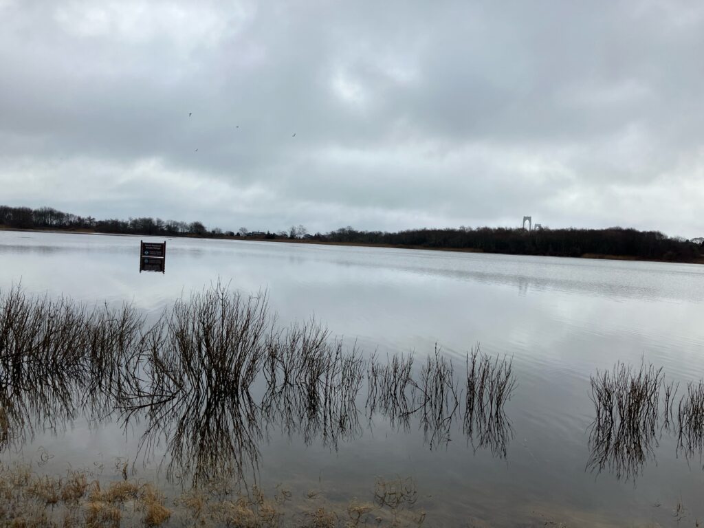 a lake with a sign in the middle (MyCoast AI)
