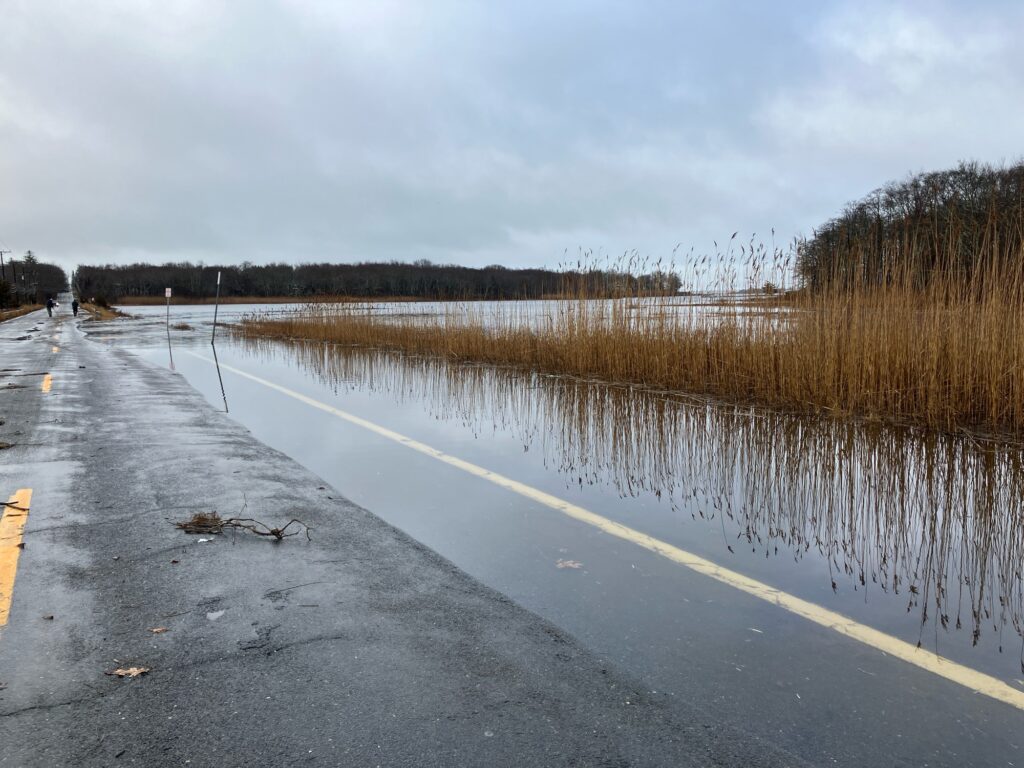 a road with water on the side (MyCoast AI)