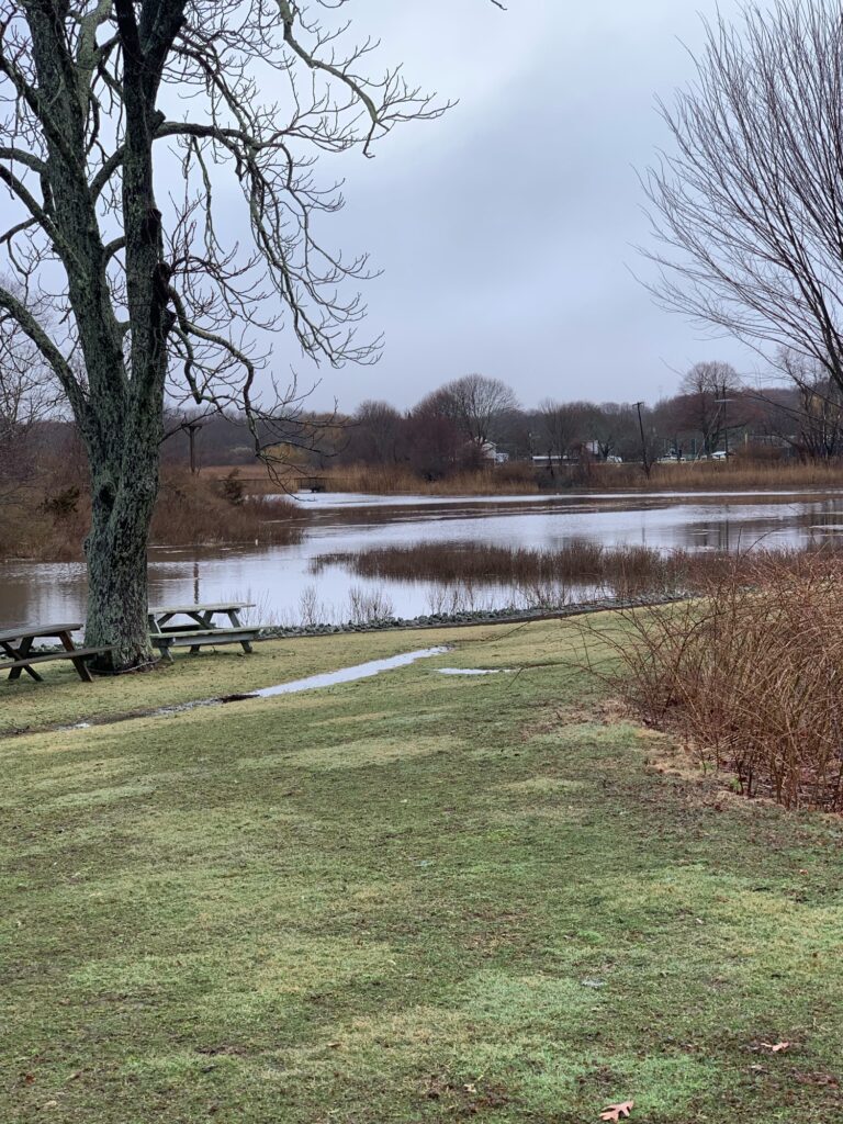 a pond with benches and trees (MyCoast AI)