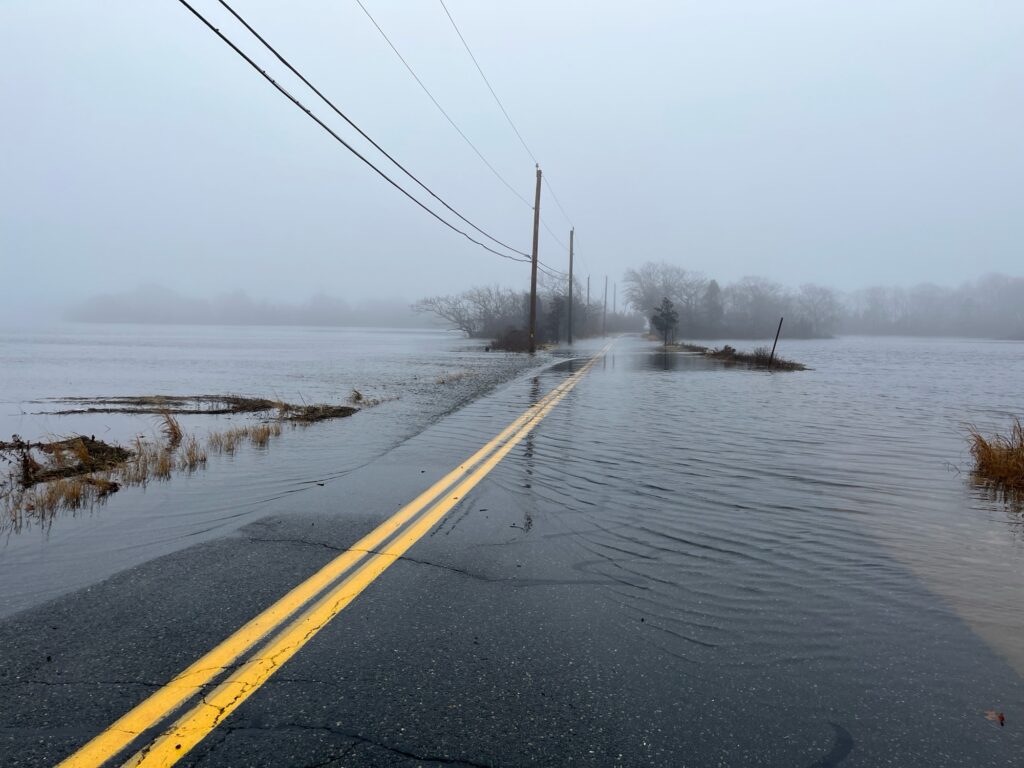 a road with water on the side (MyCoast AI)