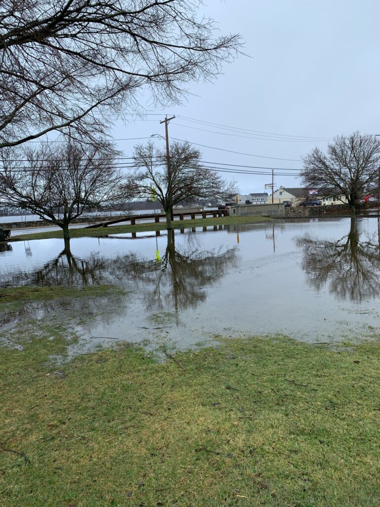 a flooded area with trees and houses (MyCoast AI)