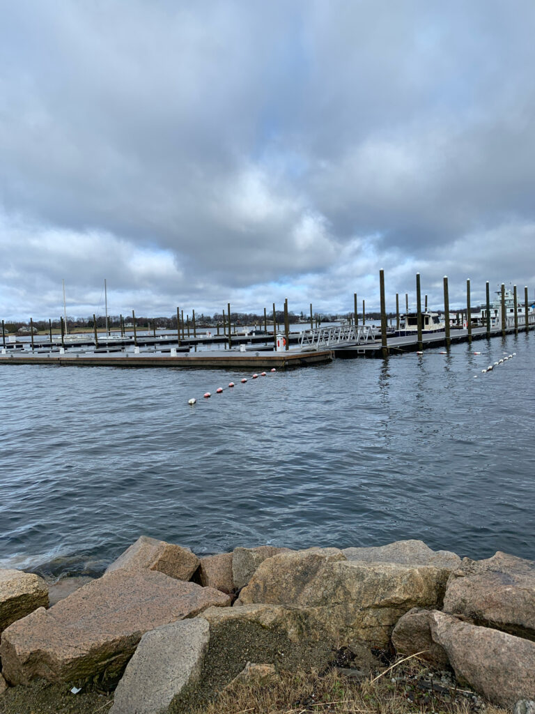 a dock with a group of boats (MyCoast AI)