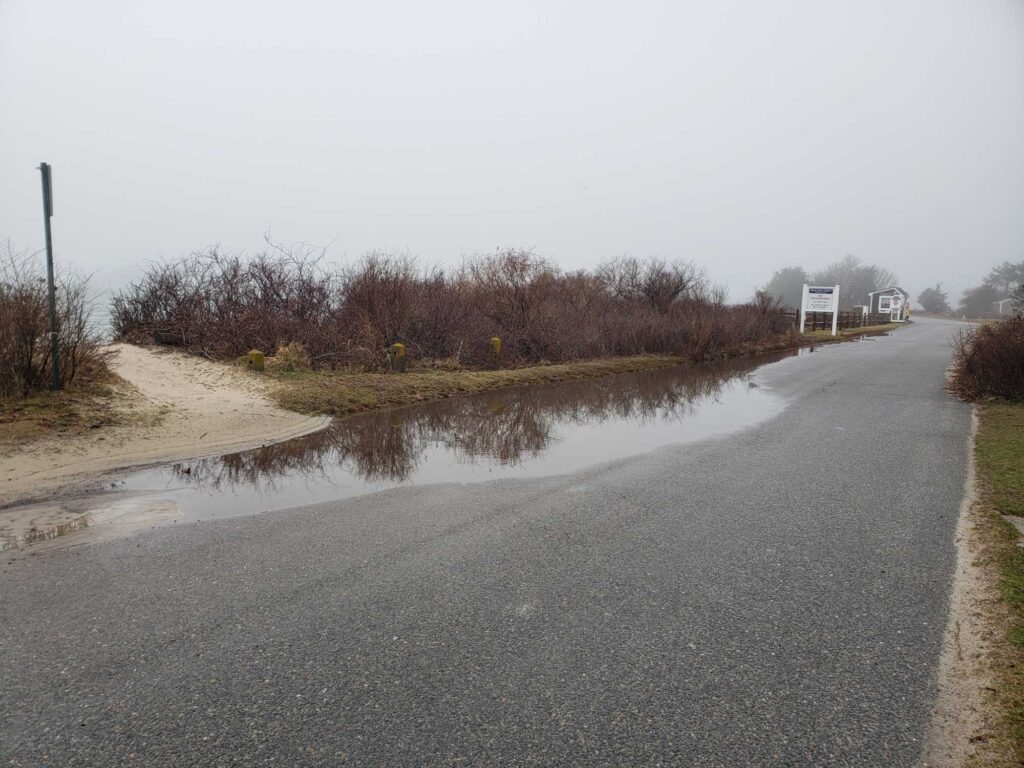 a road with a puddle on the side and trees on the side (MyCoast AI)