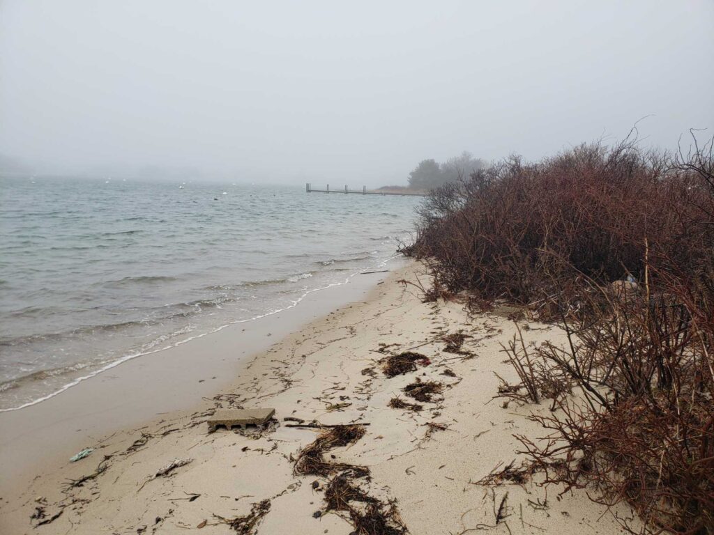 a beach with a pier in the distance (MyCoast AI)