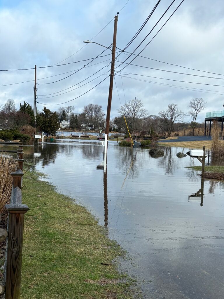 a flooded area with a pole and grass and trees (MyCoast AI)