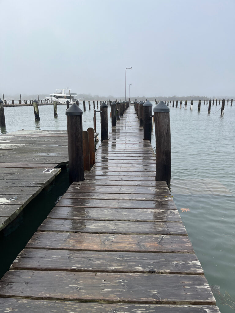 a wooden dock over water (MyCoast AI)