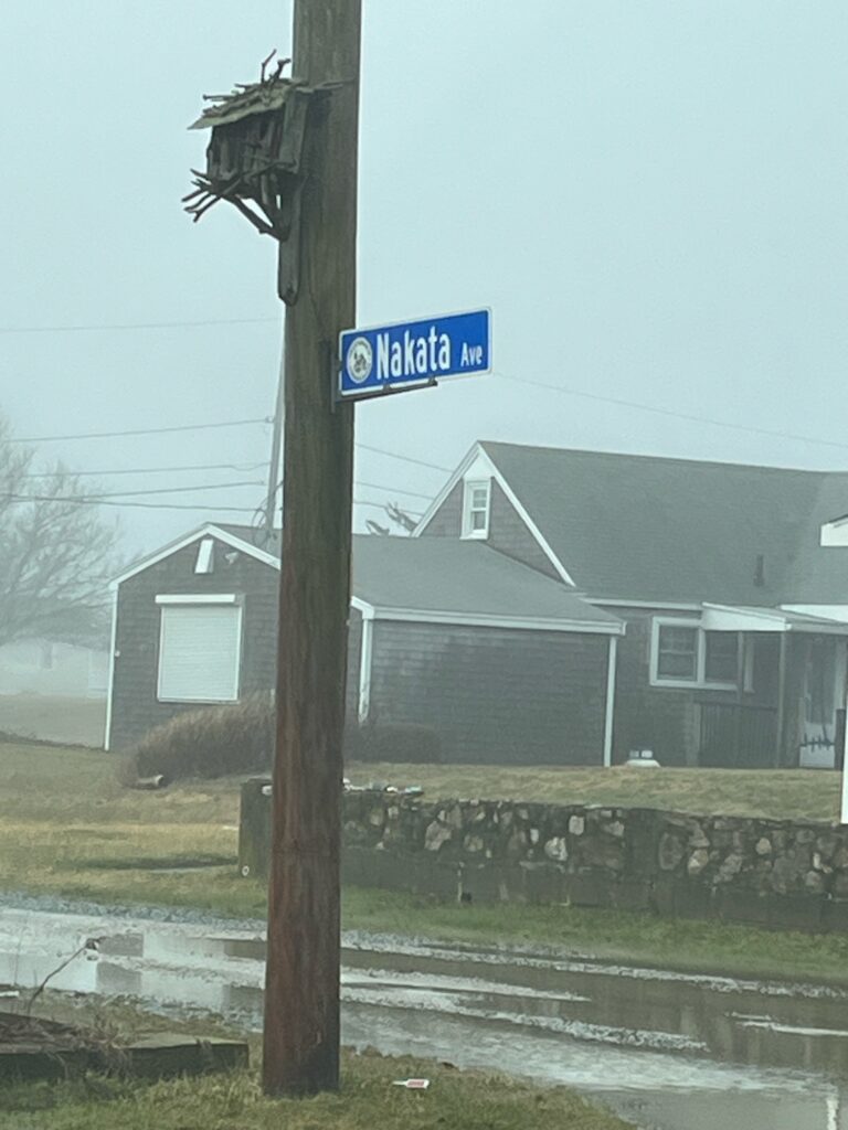 a street sign on a pole (MyCoast AI)