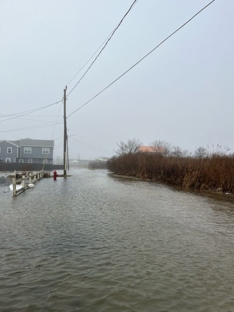 a body of water with a dock and buildings along it (MyCoast AI)