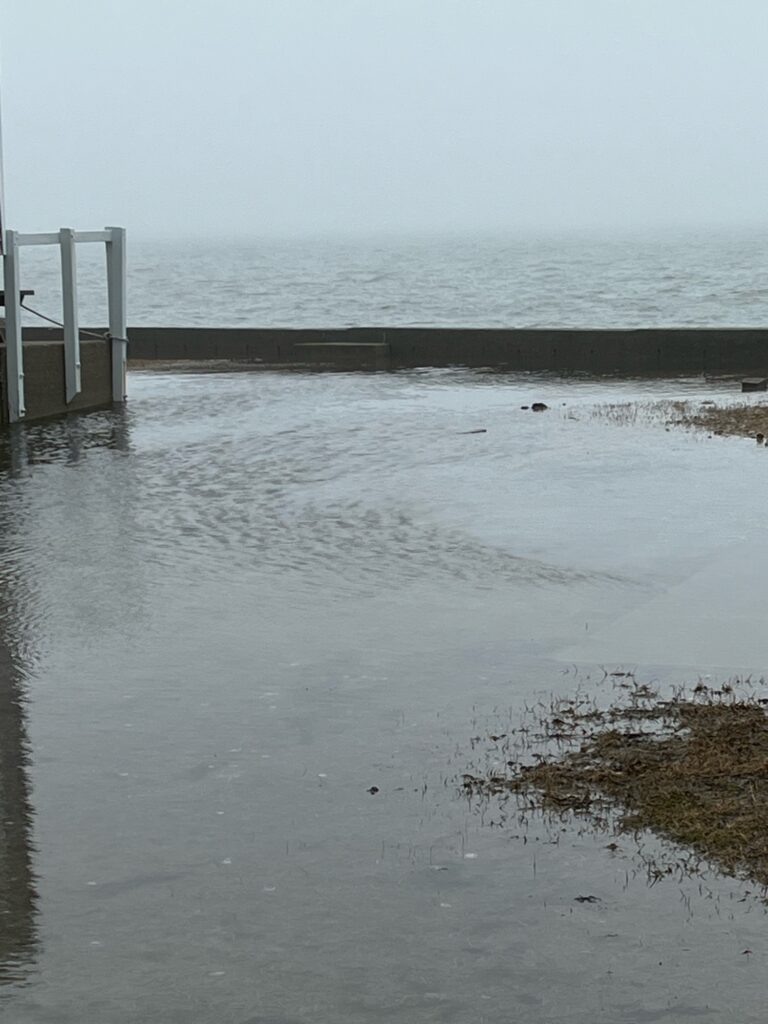 a body of water with a dock and a walkway (MyCoast AI)