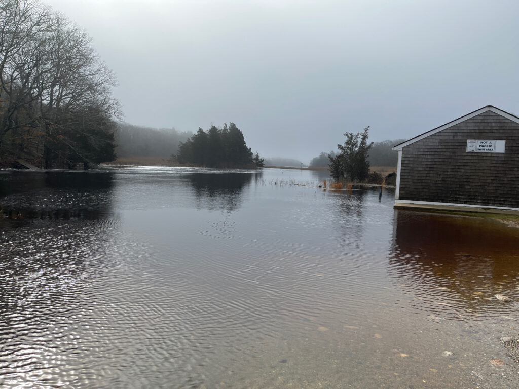 a flooded area with trees (MyCoast AI)