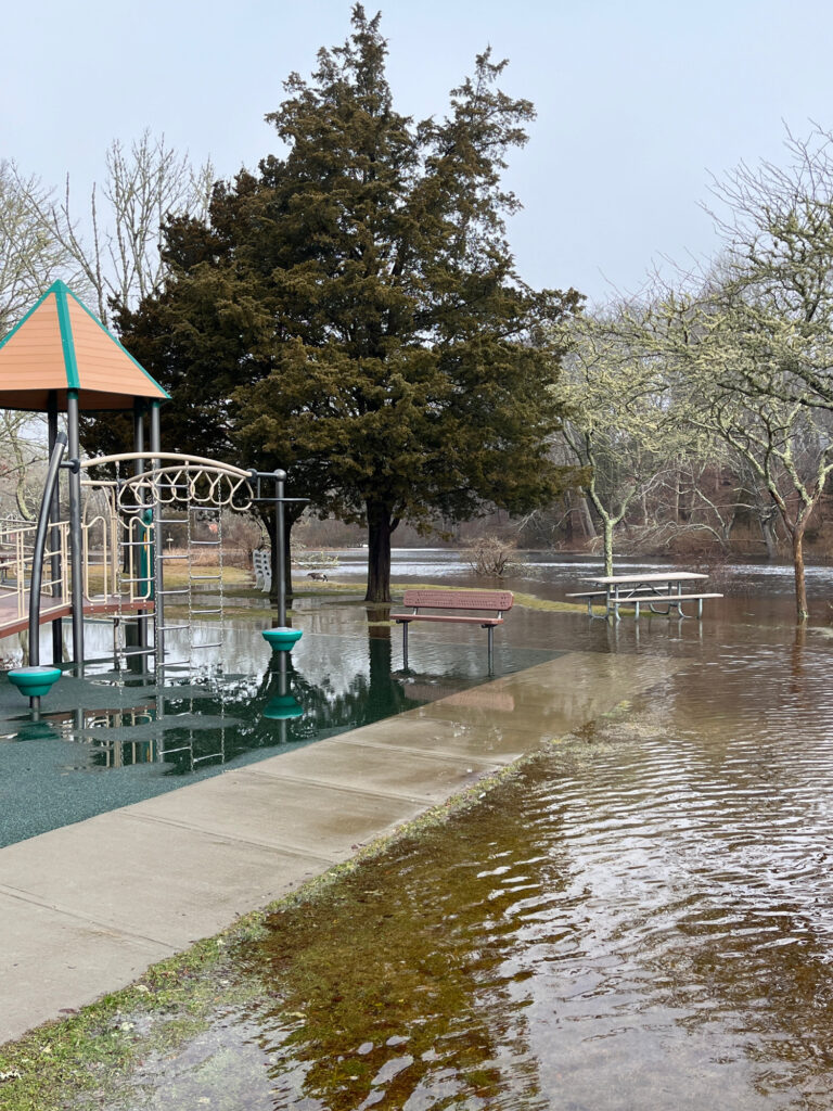 a flooded park with a small pond (MyCoast AI)