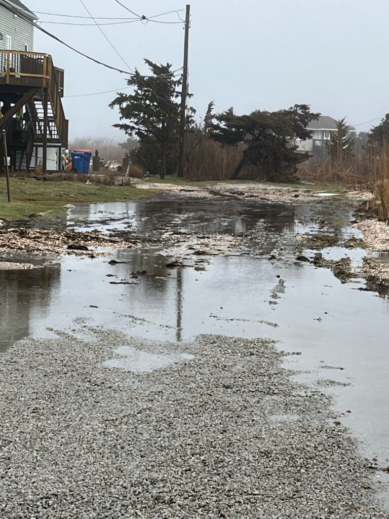 a flooded street with houses and trees (MyCoast AI)