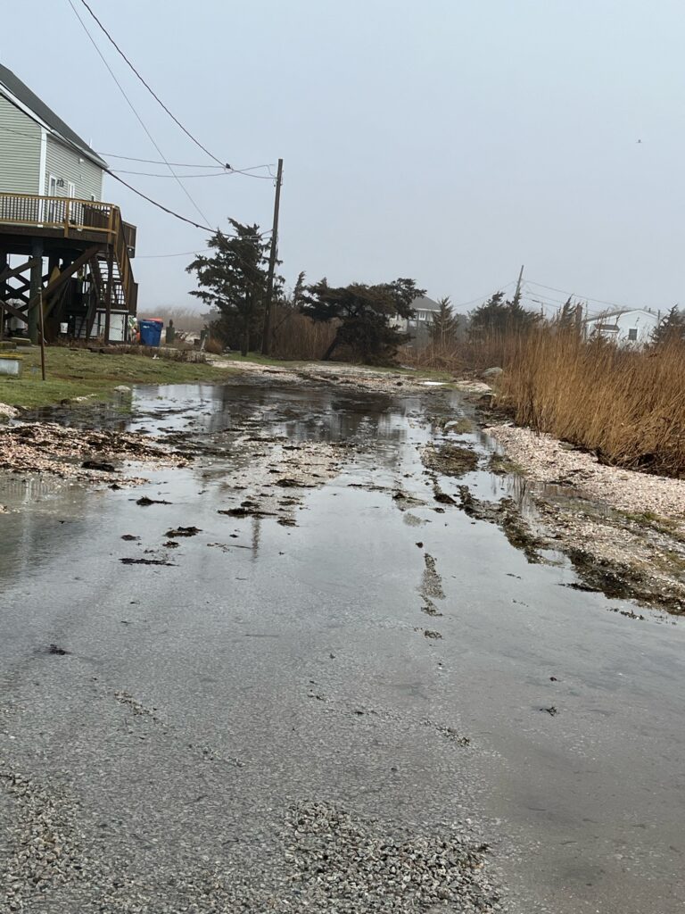 a puddle of water on a road (MyCoast AI)