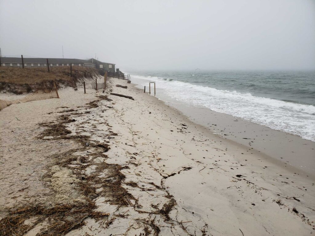 a beach with sand and water (MyCoast AI)