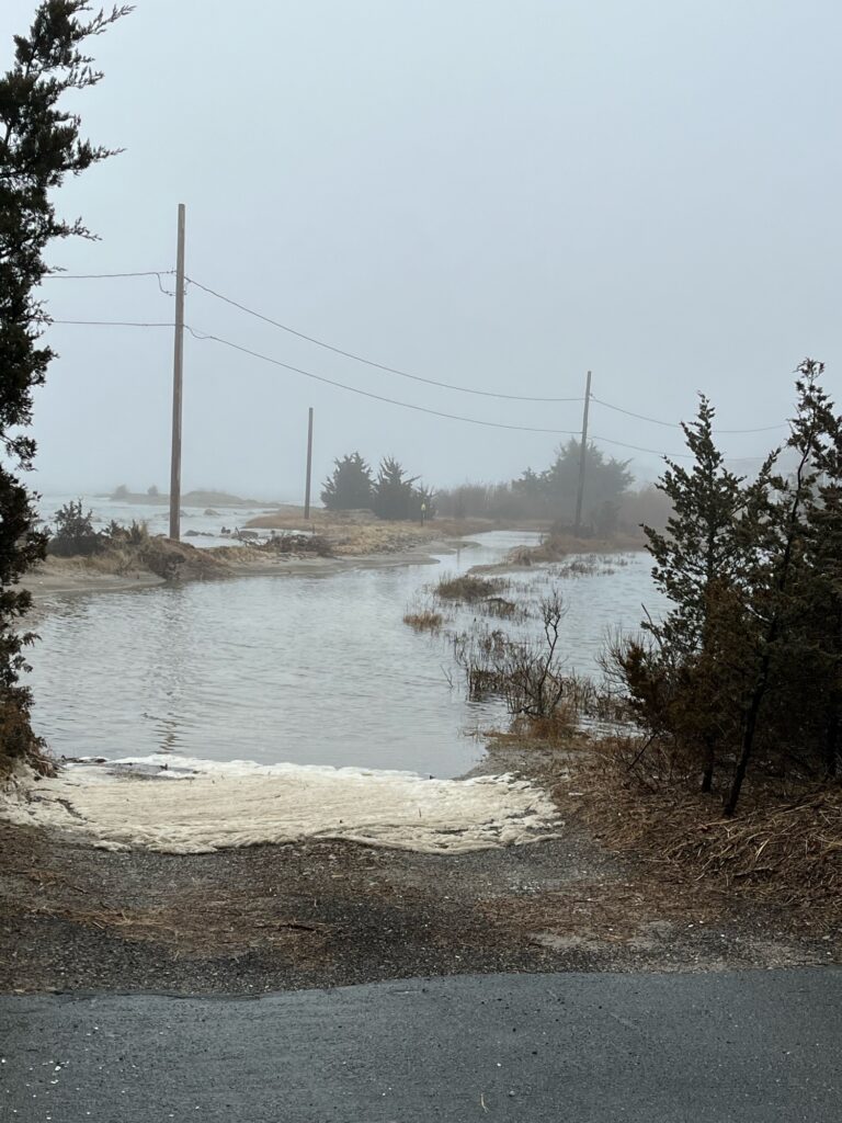 a river with a road and power lines on the side (MyCoast AI)