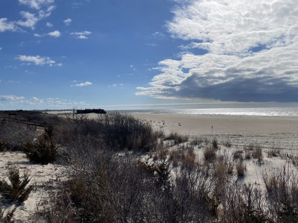 a sandy beach with bushes and trees (MyCoast AI)