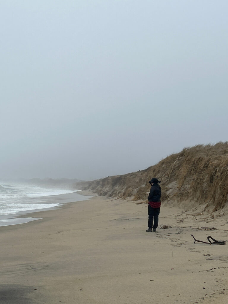 a person standing on a beach (MyCoast AI)