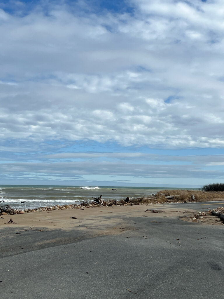 a beach with rocks and water (MyCoast AI)