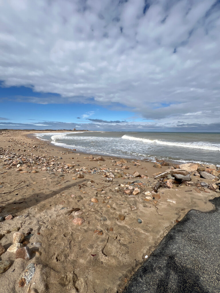 a rocky beach with a large body of water in the background (MyCoast AI)