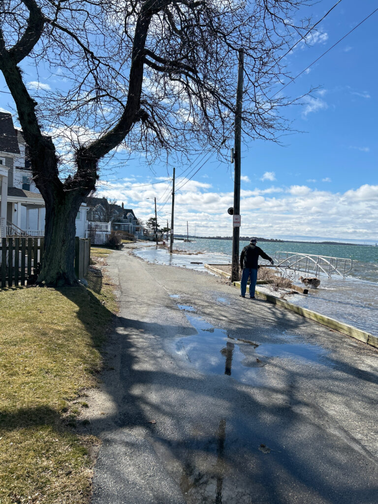 a person walking on a sidewalk next to a tree and a body of water (MyCoast AI)