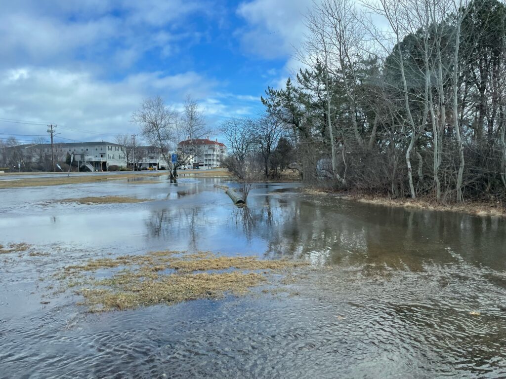 a river with a house in the background (MyCoast AI)