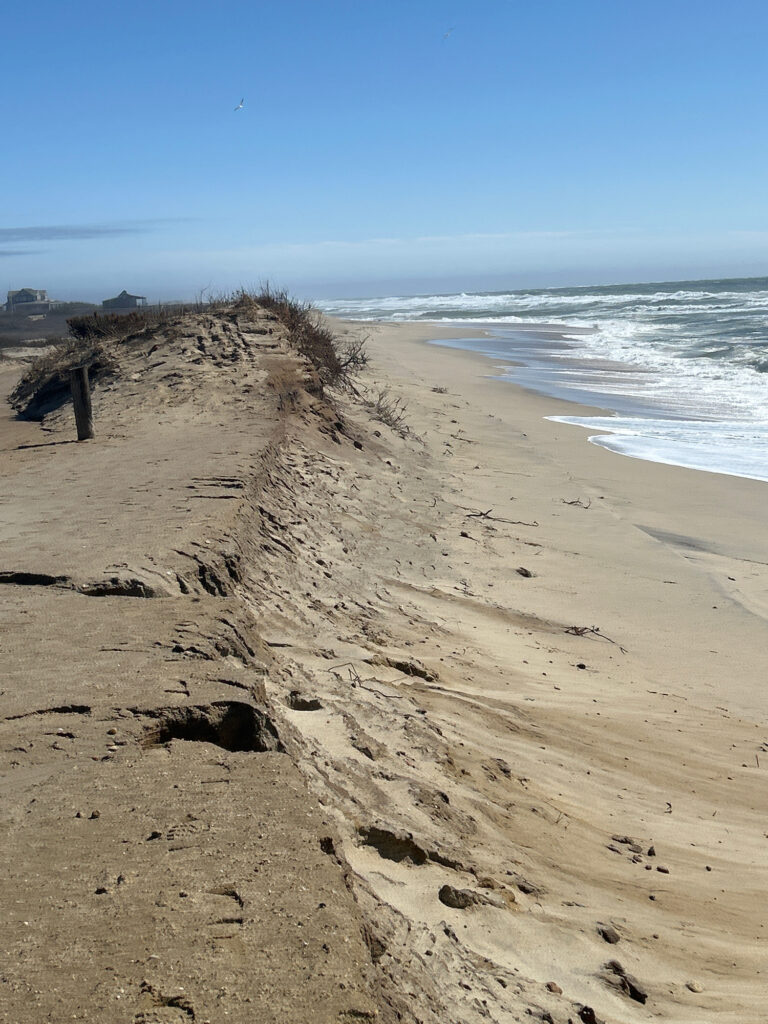 a sandy beach with waves crashing on it (MyCoast AI)