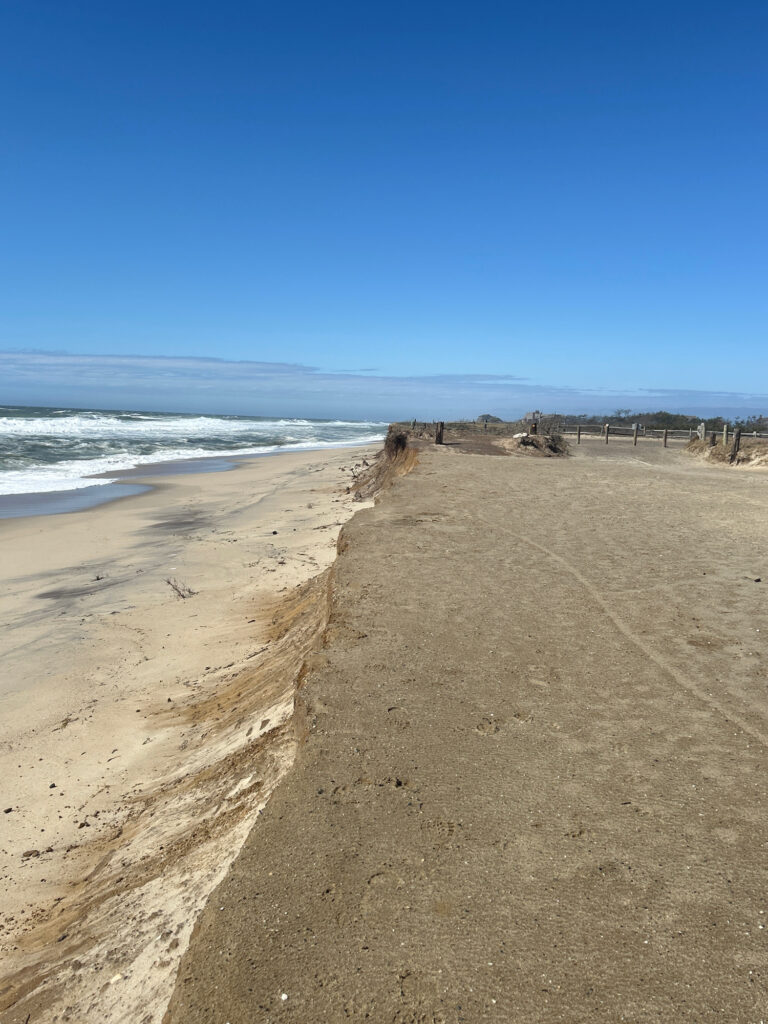 a sandy beach with waves crashing on it (MyCoast AI)