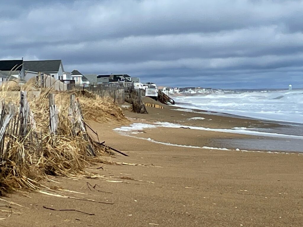a beach with a pile of sticks (MyCoast AI)